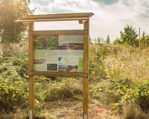 Fertiger Aufsteller aus Holz mit Infotafel zum Zauneidechsenbiotop in Dresden Leuben.